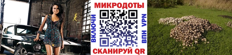 Псилоцибиновые грибы GOLDEN TEACHER  Купить где  Новый Уренгой 